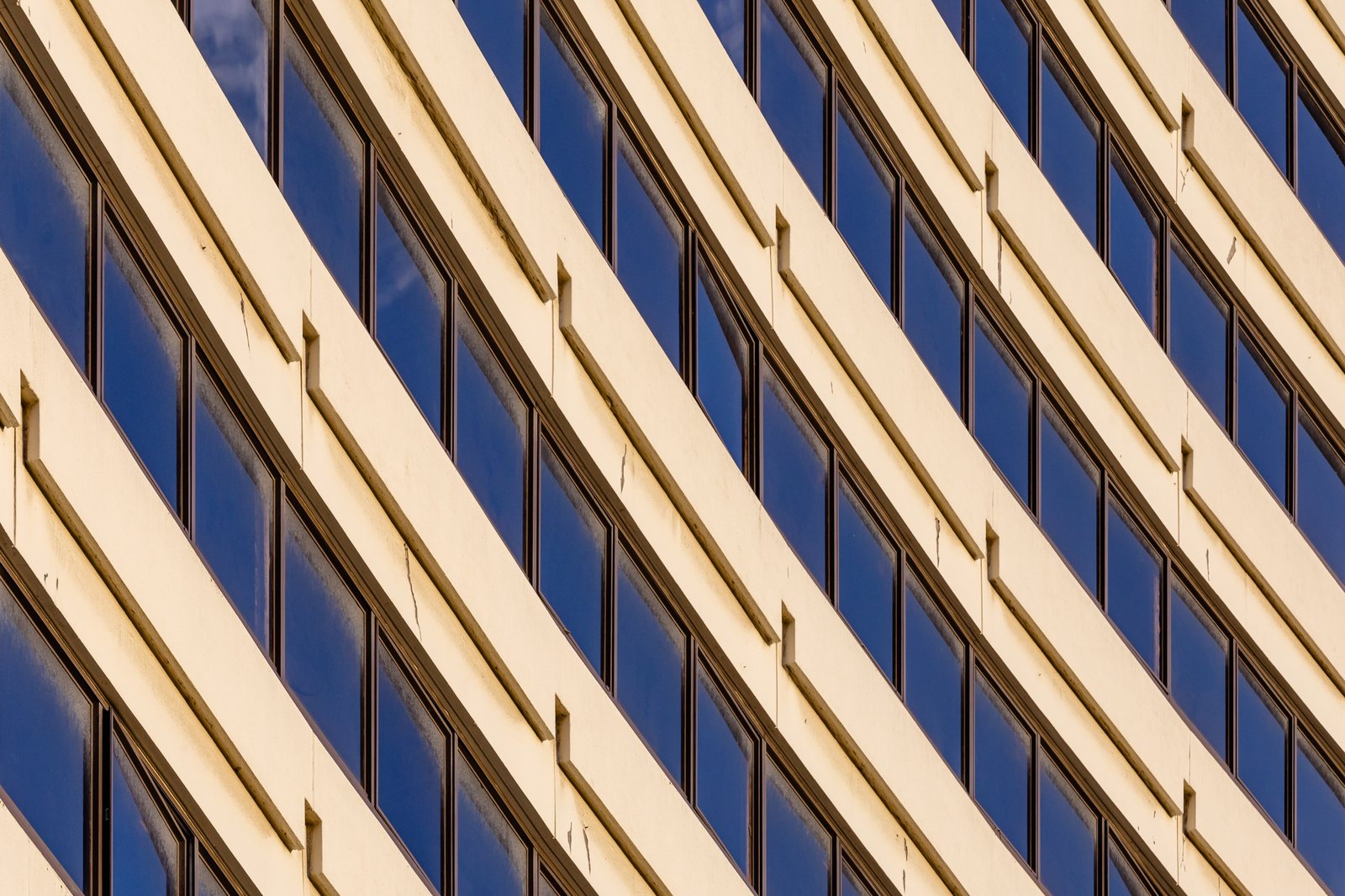 Neue Fenster an einer modernen Fassade mit klaren Linien