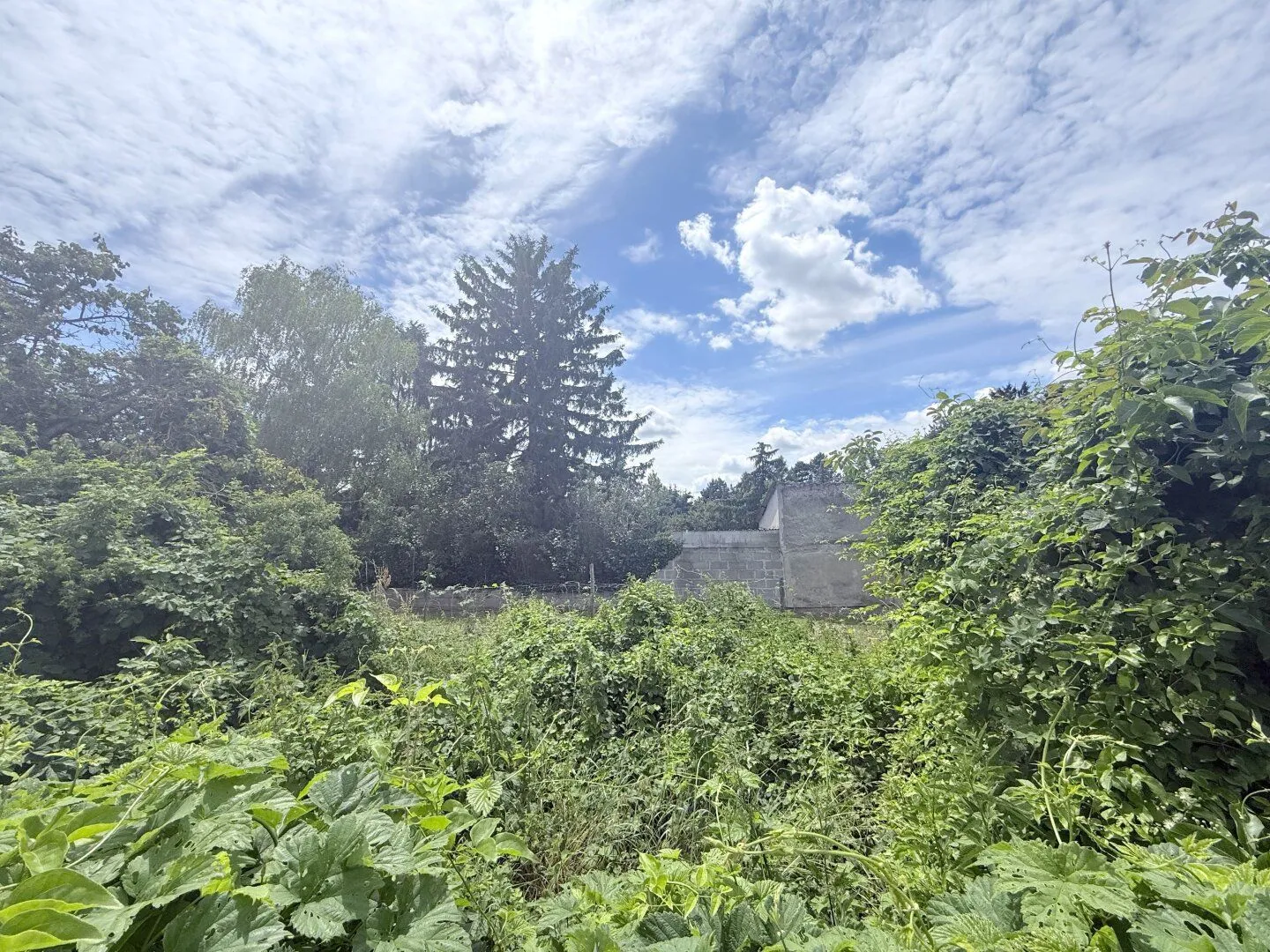 Building plot in 2405 Bad Deutsch-Altenburg, photo 3