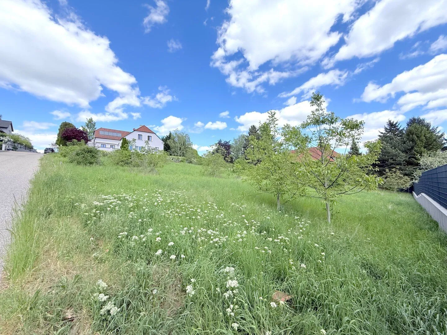 Spacious building plot 987m² in Ernstbrunn, photo 3