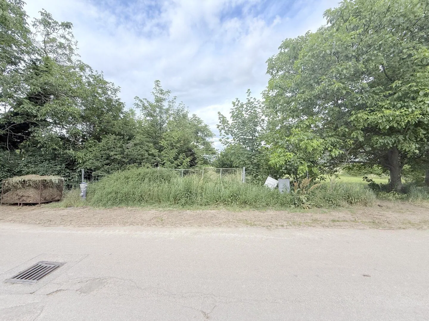 Spacious agricultural and forestry land in 2272 Ringelsdorf, photo 1