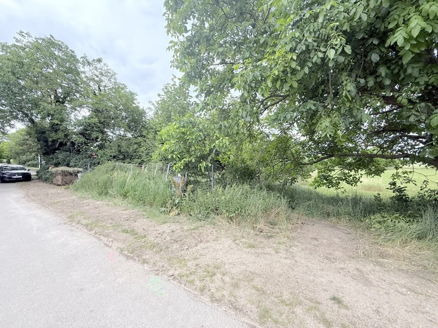 Spacious agricultural and forestry land in 2272 Ringelsdorf, photo 2