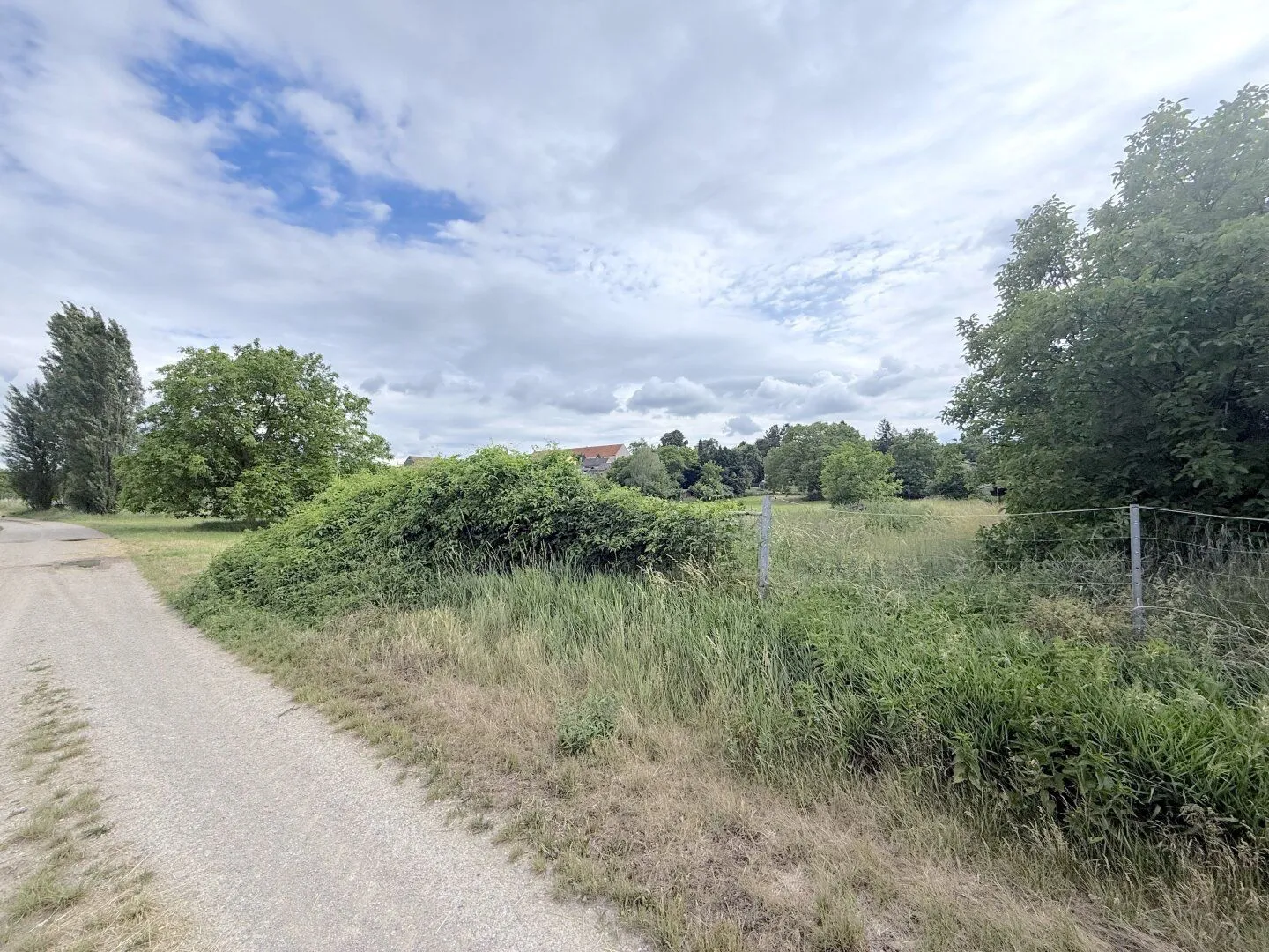 Spacious agricultural and forestry land in 2272 Ringelsdorf, photo 4