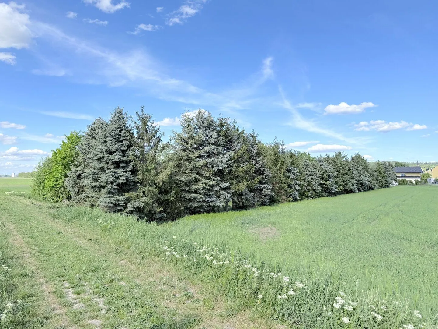 Large 1647m² plot of land in Stetten, Lower Austria, photo 4