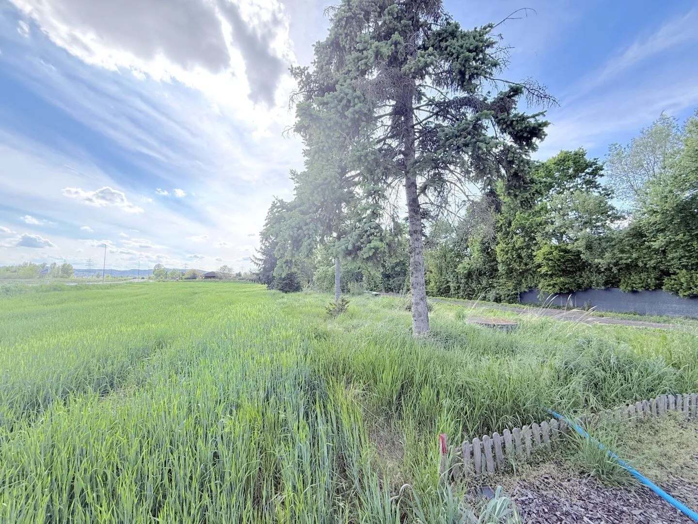 Large 1647m² plot of land in Stetten, Lower Austria, photo 3