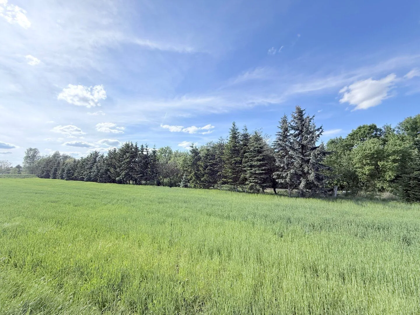 Large 1647m² plot of land in Stetten, Lower Austria, photo 1