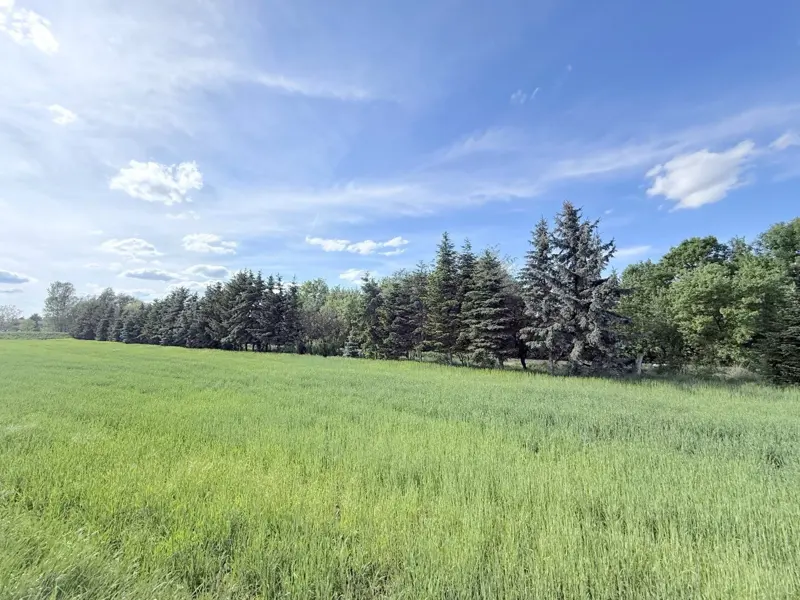 Großes 1647m² Grundstück in Stetten, Niederösterreich