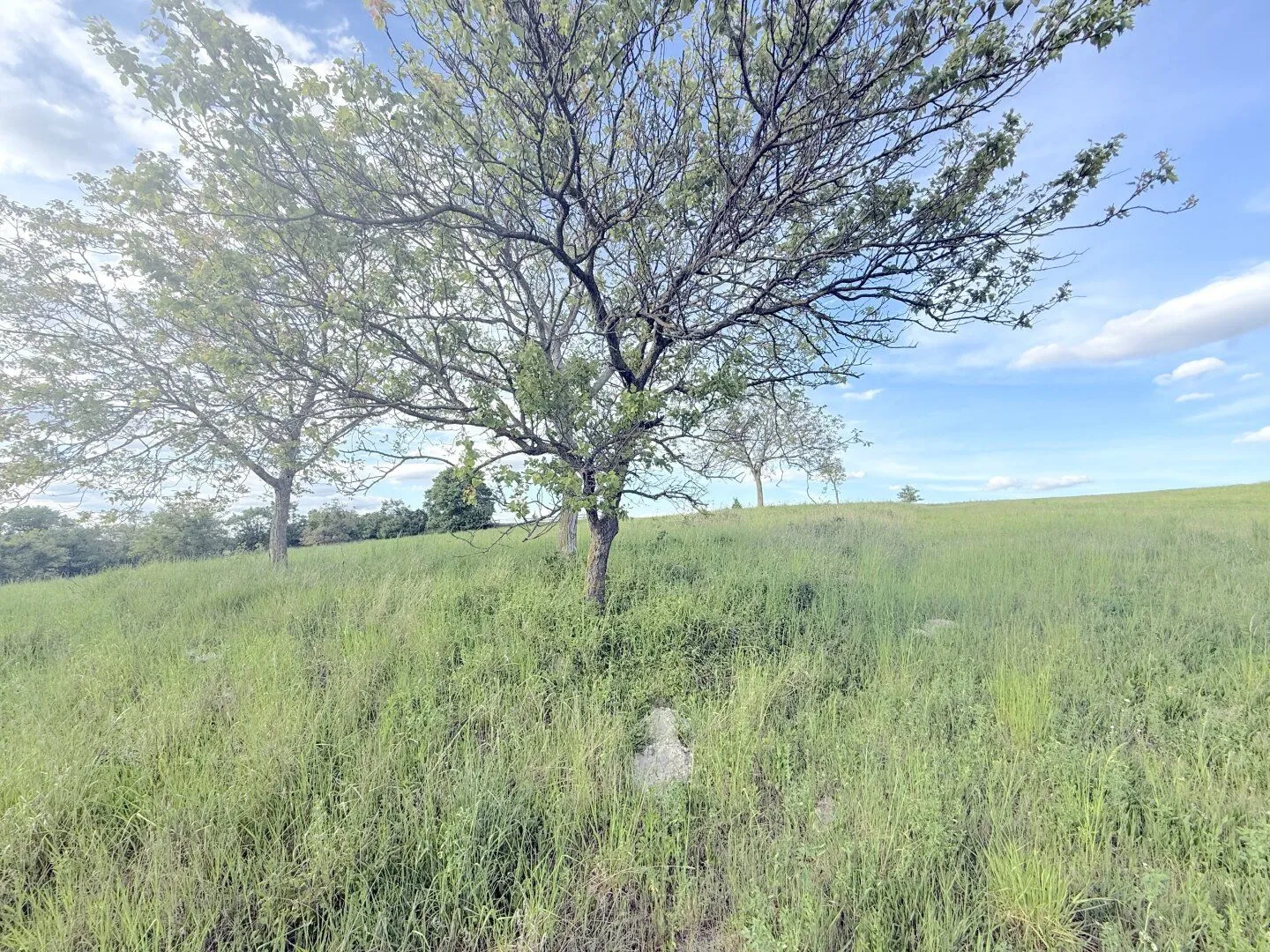Large plot of land in 2105 Unterrohrbach, 5297 m², €105,940, photo 4