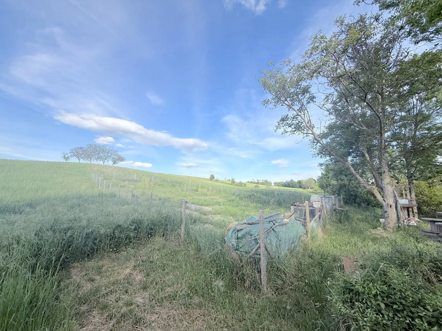 Large plot of land in 2105 Unterrohrbach, 5297 m², €105,940, photo 2