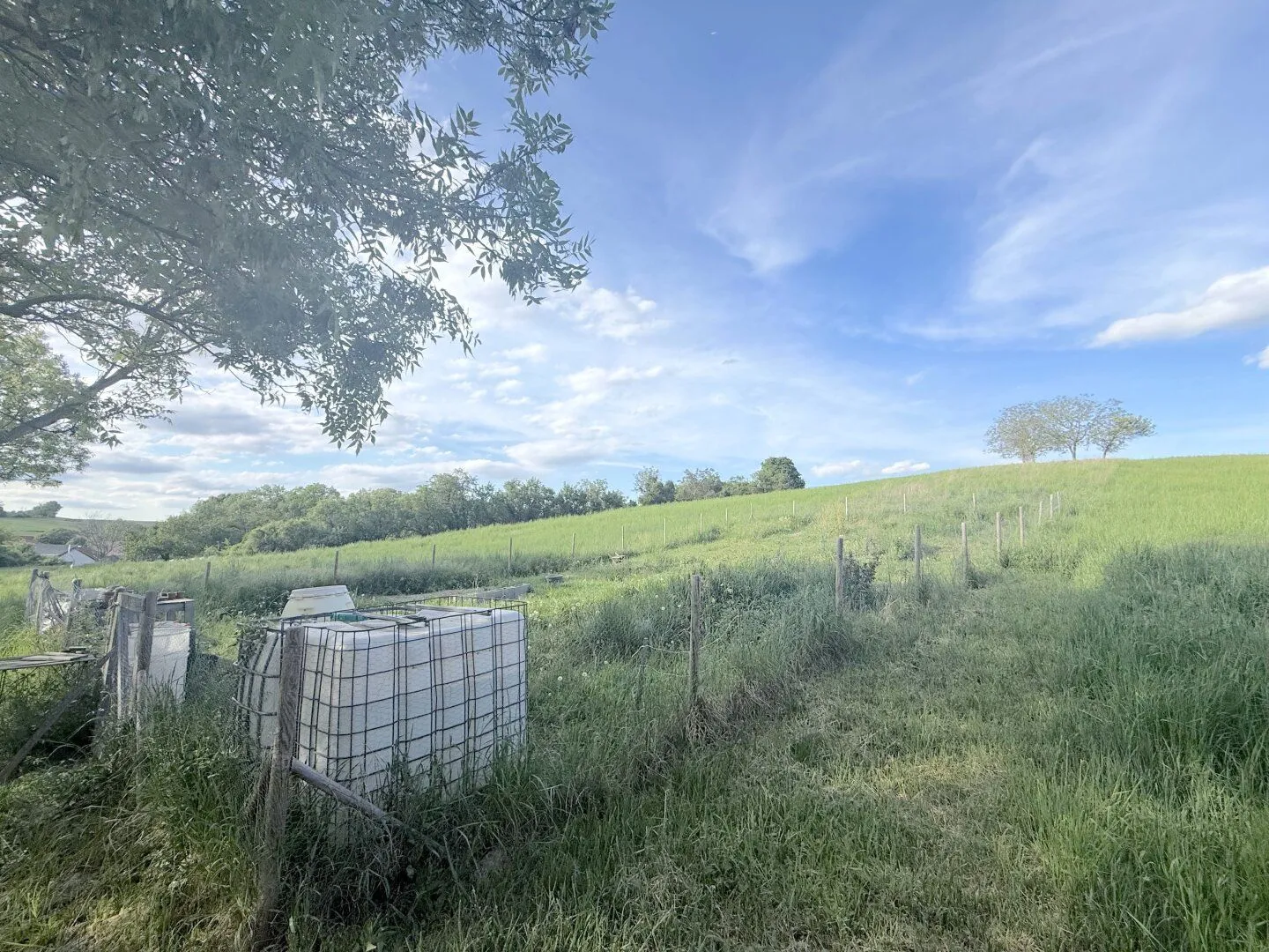 Large plot of land in 2105 Unterrohrbach, 5297 m², €105,940, photo 1