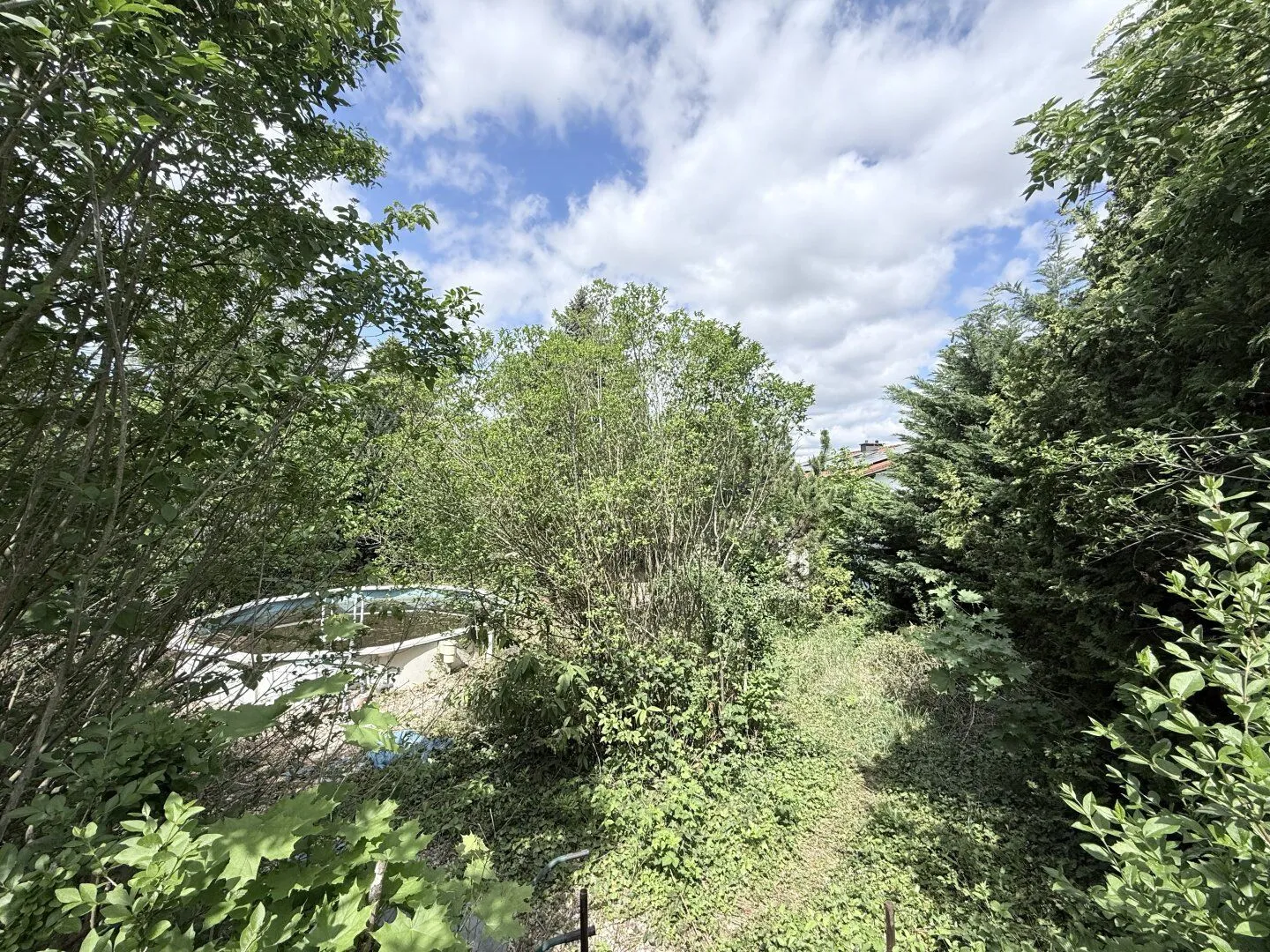 Dreamlike 769m² building plot in Würnitz, Lower Austria, photo 3
