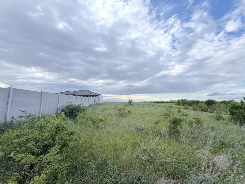 Großzügiges Baugrundstück 999m² in Nickelsdorf – Ihr Traum vom Eigenheim