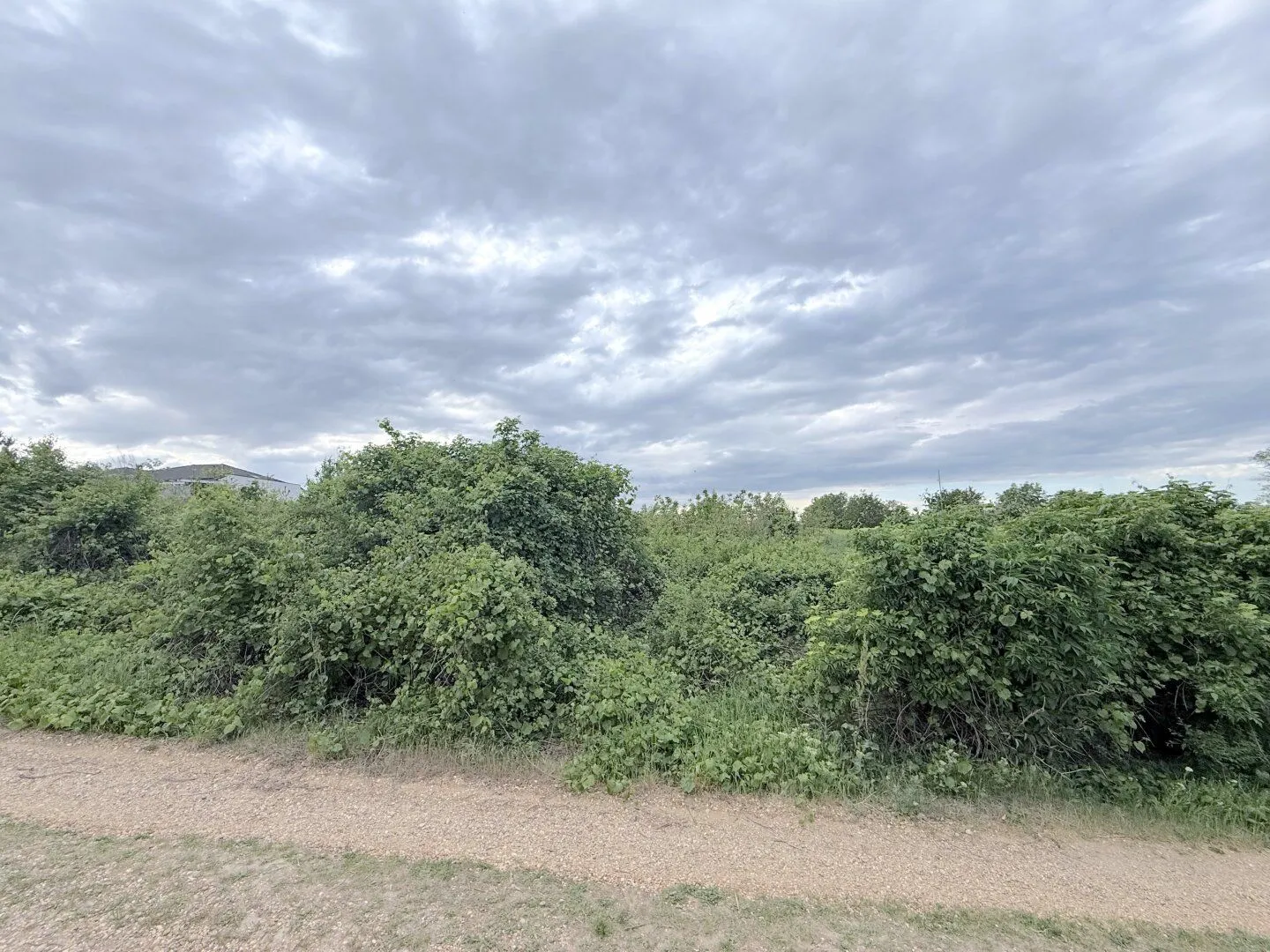 Building plot 908 m² in 2425 Nickelsdorf, dream home in Burgenland, photo 4